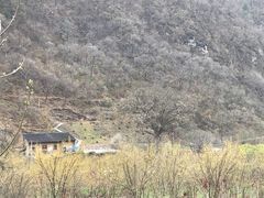 -黑河国家森林公园