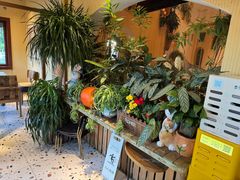 -萤火虫咖啡(后海店)