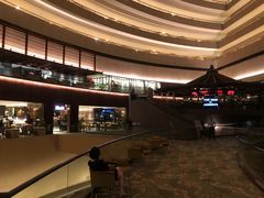 -新加坡文华东方酒店