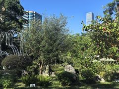 -九龙公园