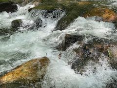 -凤凰山国家森林公园
