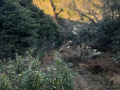 -东钱湖旅游度假区