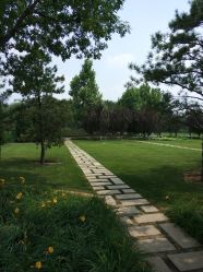 -大望京儿童游乐场