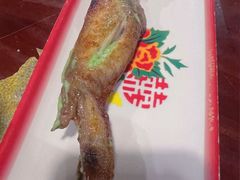 -辉记炭烧海鲜大排档·老字号(福田店)