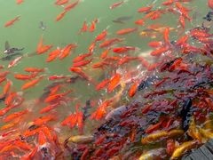 -泰安地下龙宫景区