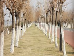 -艾溪湖湿地公园