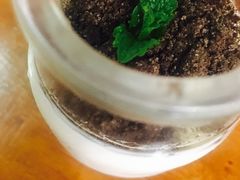 -院落创意菜