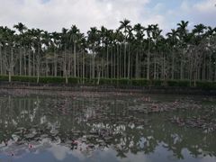 -红色娘子军纪念园