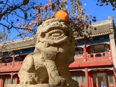 -北京石刻艺术博物馆(五塔寺)