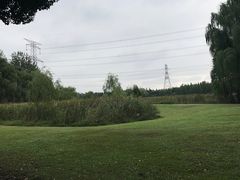 -昆山城市生态森林公园