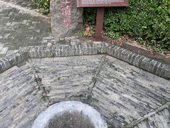 -上海佘山国家森林公园天马山园