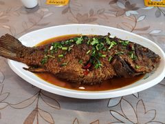 -韩师傅老大同刀削面(北苑路店)