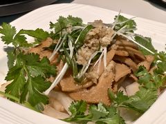 鲜沙姜捞羊肚-新兴·金羊座·粤菜点心(乐峰店)
