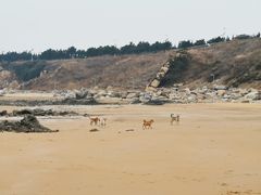 -青岛银沙滩