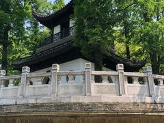 景点-汇龙潭