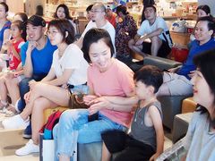 -科晓兔外教英文·数学思维·乐高编程·科学实验(怡山校区)