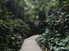 -西双版纳原始森林公园