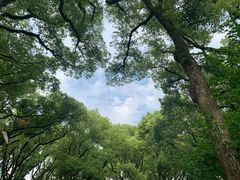 -天一阁博物院