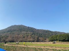-八卦田遗址公园