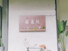 -猫里有甜