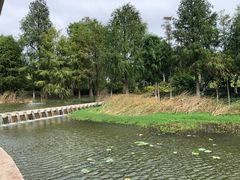 -厦门国家会计学院