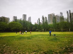 -泰丰公园