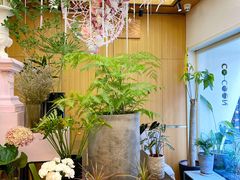 -蝶舍·MAISON PAPILLON