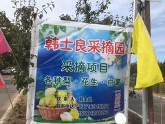 -韩士良采摘园