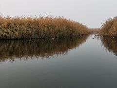 -白洋淀景区