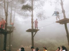 -梦幻奥陶纪景区