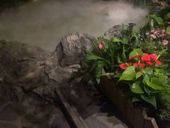 -花锦堂·隐庐