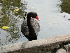 -海南热带野生动植物园