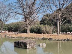 -上海野生动物园