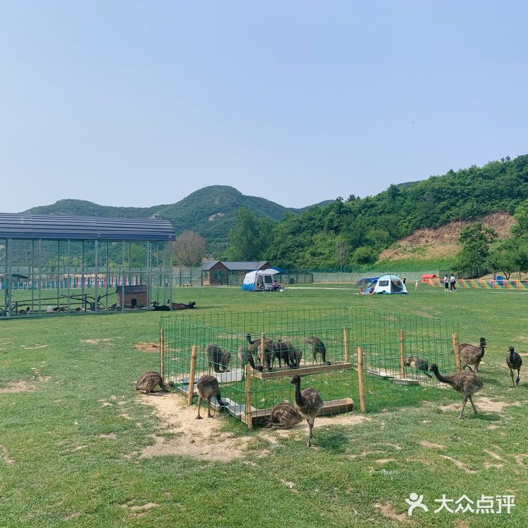 鞍山老院子动物园