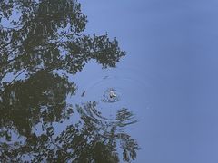 -三水森林公园