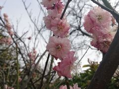 -莲湖公园