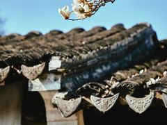 -拙政园