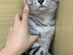 -美联众合爱康动物医院•复杂内科•肿瘤科•牙科•腔镜诊疗中心