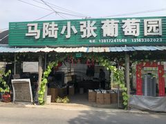 -马陆小张葡萄园农家乐