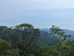 -大岭沟猕猴桃谷风景区