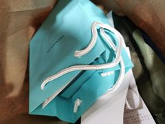 -Tiffany & Co.蒂芙尼
(天津万象城店)