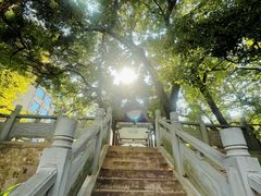 -长沙市青少年宫