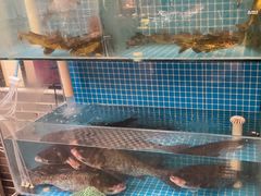 -巡耕记·湖南土菜(长湖店)