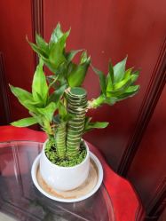 -南京医科大学友谊整形外科医院