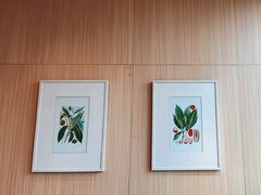 -西贝(武汉天地店)