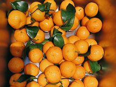 -大锅强·蒸海鲜青岛菜(金沙滩店)