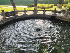 -百脉泉景区