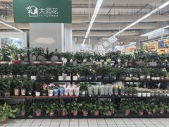 -大润发(张江店)