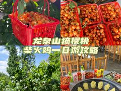 -桃源山庄·水蜜桃采摘·柴火鸡·烧烤团建(龙泉山店)