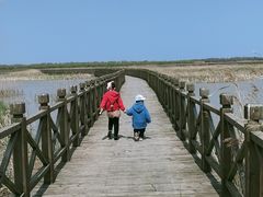-盐城丹顶鹤湿地生态旅游区